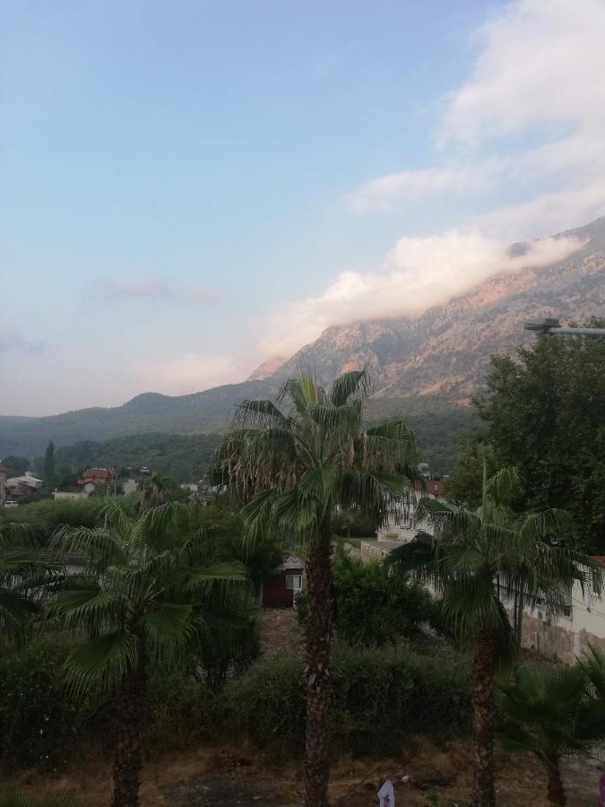 Santana Hotel بيلديبي المظهر الخارجي الصورة