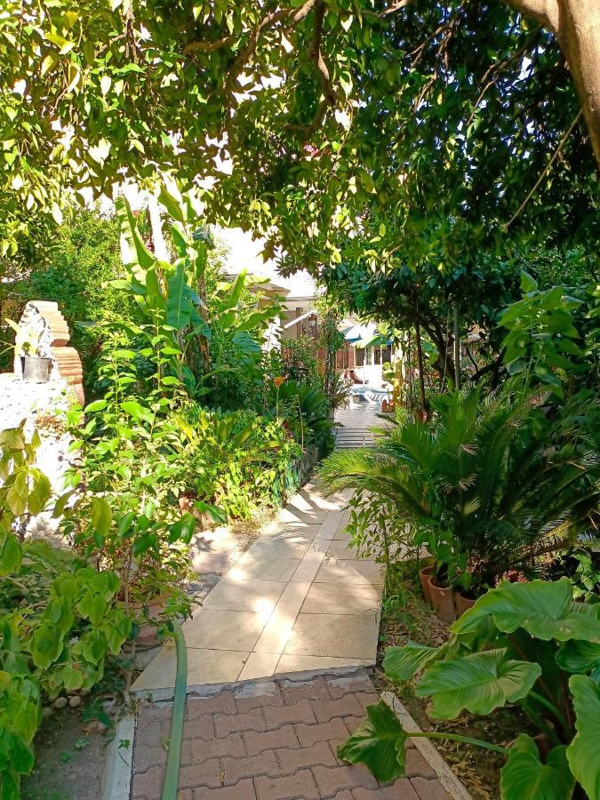 Santana Hotel بيلديبي المظهر الخارجي الصورة